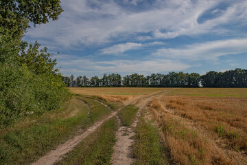 at a crossroads, a dirt road in the middle of a mowed field