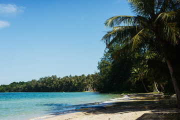 the tropical landscape of the island with white sand and palm trees. Quiet and peaceful rest, a secluded romantic place