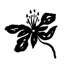 Inky abstract flower sketch isolated on white. Black silhouette of minimalist doodle floral. Hand drawn botanical illustration
