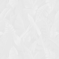 Gray and white image of leaves