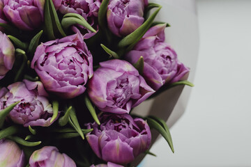 Bouquet of purple tulips, close up