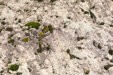 Natural texture of rocky surface.