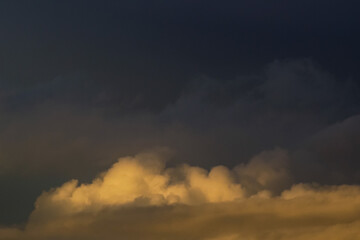 Vue rapprochée de cumulus bourgeonnants, en fin de journée