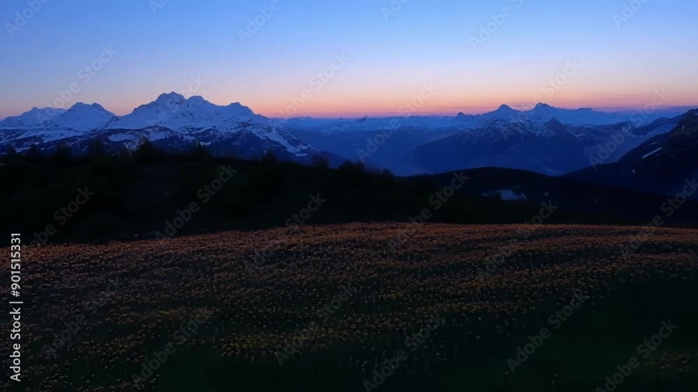 Poster A serene glide above the alpine meadows at twilight a breathtaking display of natures colors and textures.