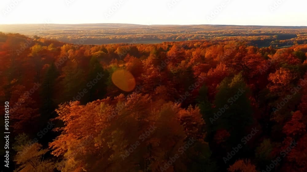 Poster The camera glides over a sea of rustcolored trees their leaves gently rustling in the crisp evening breeze.