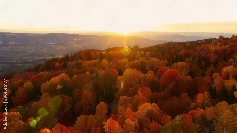 Poster The camera gracefully glides over the rolling landscape capturing the contrast between the fading daylight and the vivid hues of autumn.