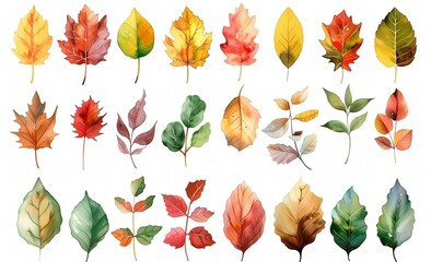 カラフルな秋の落ち葉