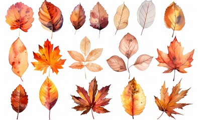 カラフルな秋の落ち葉