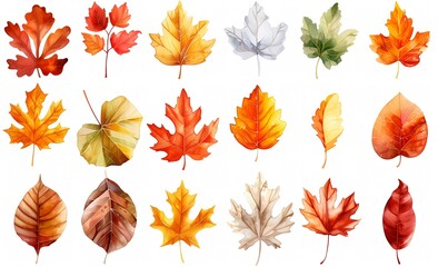 カラフルな秋の落ち葉