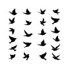 Silhouette flying bird vector set.