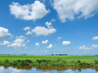 Fries landschap nabij Giekerk-Gytsjerk