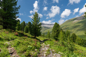 Bergpanorama