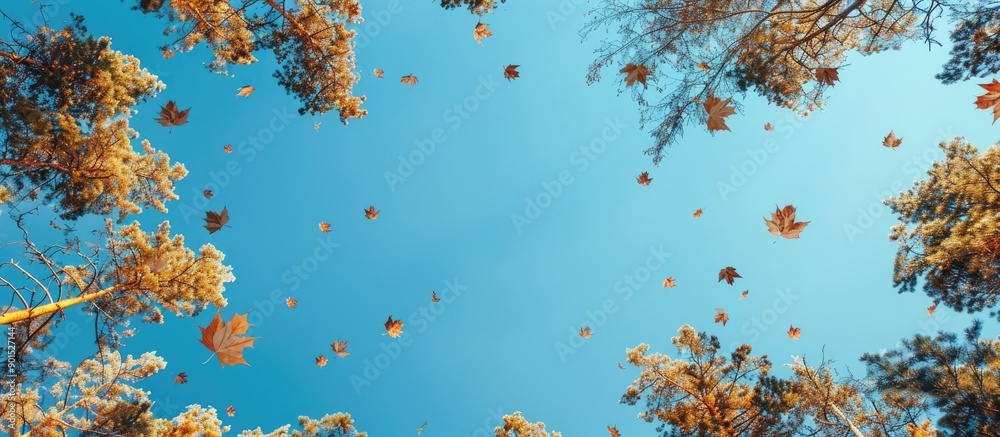Wall mural falling trees against a backdrop of a clear blue sky create a striking scene with plenty of copy spa