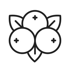 Cranberries  icon vector image. Suitable for mobile application web application and print media.