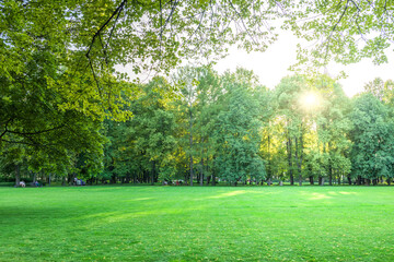 A park with a large green field and trees