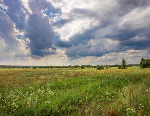 A field of grass with a cloudy sky in the background