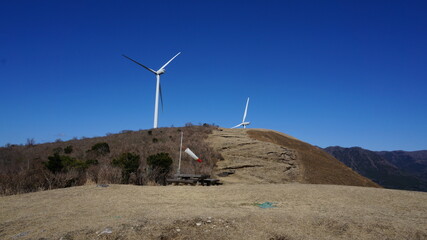 稲取細野高原