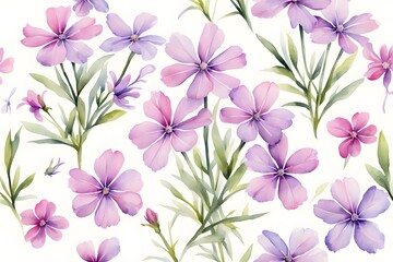 Fototapeta premium Watercolor creeping phlox flowers on white background, Ai Generated