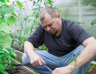 Fototapeta premium A man is kneeling down in a greenhouse, looking at a plant
