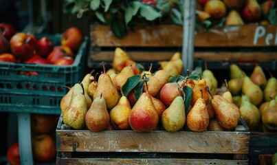 Pears displayed for sale at a roadside stand