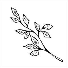 Tropical leaves one line drawing. Continuous line drawing of tropical palm leaf. Single one line exotic flowers and palm leaf .Leaves outline sketch. Jungle plant leaf line art..