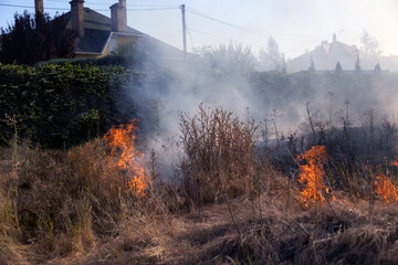 Forest and steppe fires dry completely destroy the fields and steppes during a severe drought....