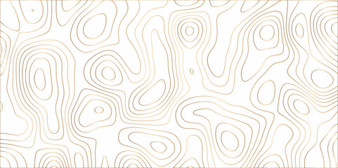 Abstract design with black and white abstract papercut and multi-layer cutout geometric pattern on vector Topographic canyon geometric map relief texture with curved layers beautiful design.