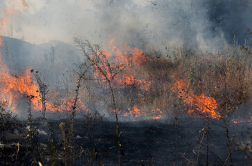 Forest and steppe fires dry completely destroy the fields and steppes during a severe drought....