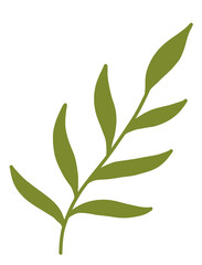 green leaves isolated on white background