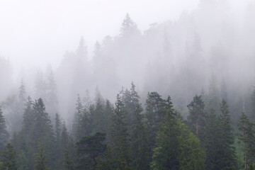 Nebel im Gebirge in Österreich