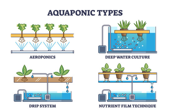 Aquaponic watering and irrigation model types for plants outline collection, transparent background. Aeroponics, deep water culture.