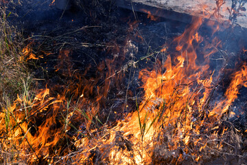 Forest and steppe fires dry completely destroy the fields and steppes during a severe drought. Disaster brings regular damage to nature and economy of region. Lights field with the harvest of wheat