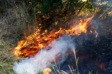 Forest and steppe fires dry completely destroy the fields and steppes during a severe drought....