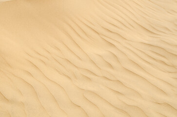 Sam Sand dunes in Thar Desert, grainy sand, Texture, Pattern, Background, Jaisalmer, Rajasthan, India, Asia.