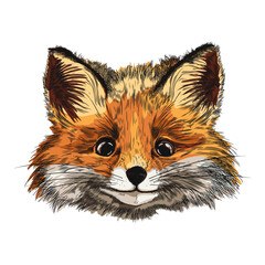 Watercolor illustration of a fox on an isolated background.