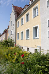 Juliana Fałata, Elbląg-kwiaty 
