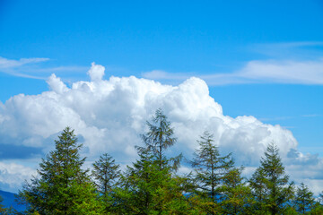 高原の青い空と白い雲