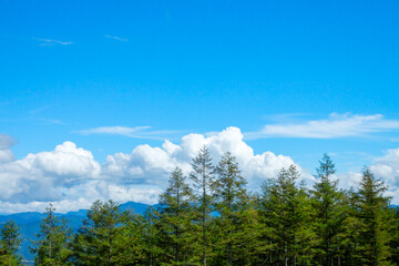 高原の青い空と白い雲