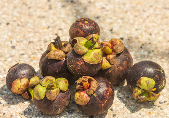 mangosteen fruit on gray background.