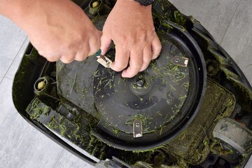 Fototapete bei efototapeten.de bestellen   