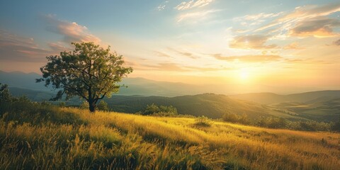 Fototapeta premium Golden Sunset over Rolling Hills