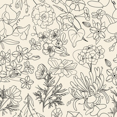 Summer outline floral Seamless pattern. Vector hand drawn summer flower background for print, wrapping paper, textile, fabric