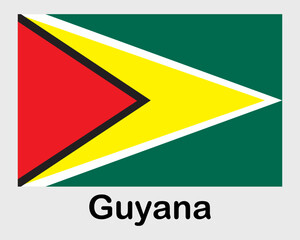 Guyana national flag. Banner, state symbol, flagpole.