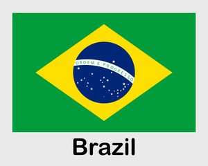 Fototapeta premium Brazil national flag. Banner, state symbol, flagpole.