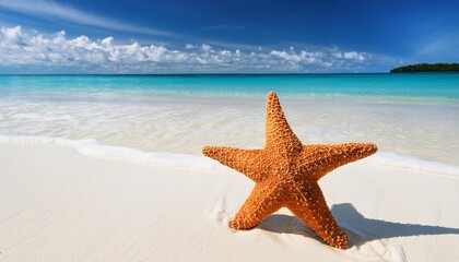 Beach Bliss: Starfish Amidst White Sand, Turquoise Ocean, and Blue Sky