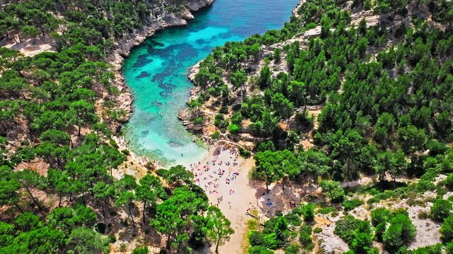 Aerial view of Natural area with rock formations, turquoise water beach in France. Calanque de Port Pin beach in the eastern calanque between Marseille and Cassis.
