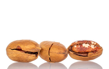 Three unshelled pecan nuts, macro, isolated on white background.