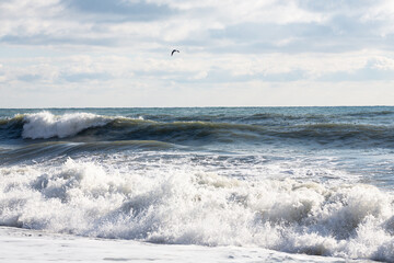 Stormy lwaves on the beach of Sochi, Russia, Black Sea