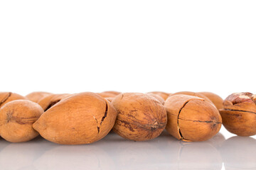 Several unshelled pecan nuts, macro, isolated on white background.