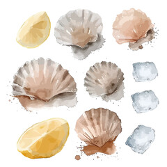 Seafood set - oysters, lemon, herbs, peppers. Watercolor sea food diet collection